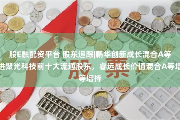 股E融配资平台 股东追踪|鹏华创新成长混合A等新进聚光科技前十大流通股东，睿远成长价值混合A等增持