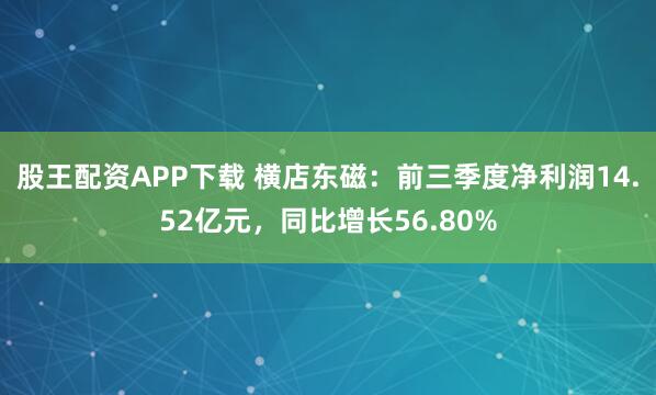 股王配资APP下载 横店东磁：前三季度净利润14.52亿元，同比增长56.80%